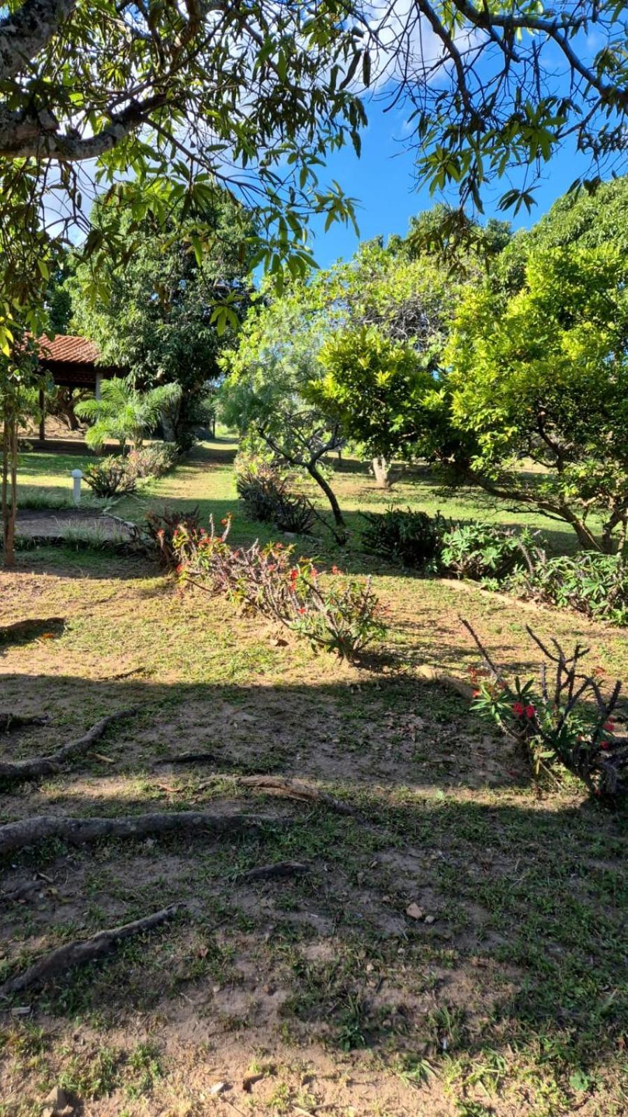 Villa Dos Pireneus Pirenópolis Buitenkant foto